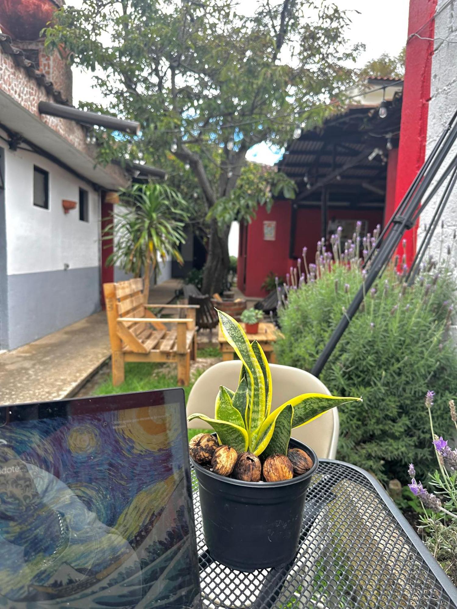 Berlin61 Hostal San Cristóbal de Las Casas Exterior foto